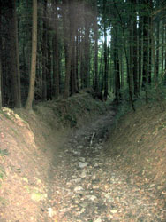Die Rille